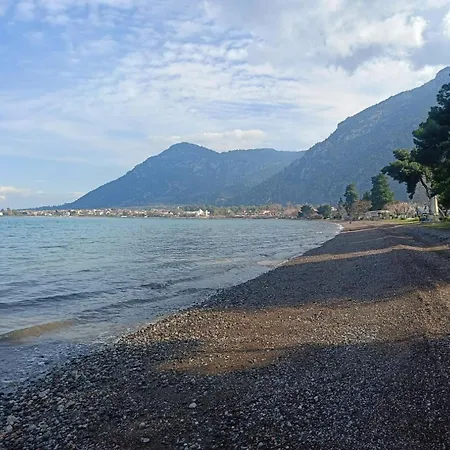 Four Reasons Apts Апартаменты Камена-Вурла