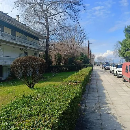 Melistia In